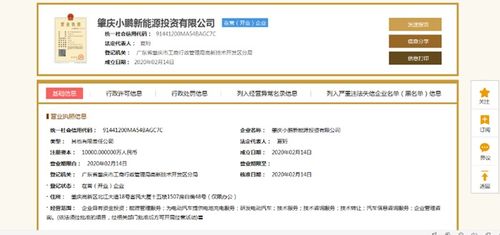 小鵬汽車深化產業布局 1億元設立新能源投資公司，分公司注冊同步啟動